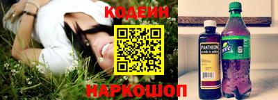 индика Беслан