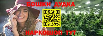 индика Беслан