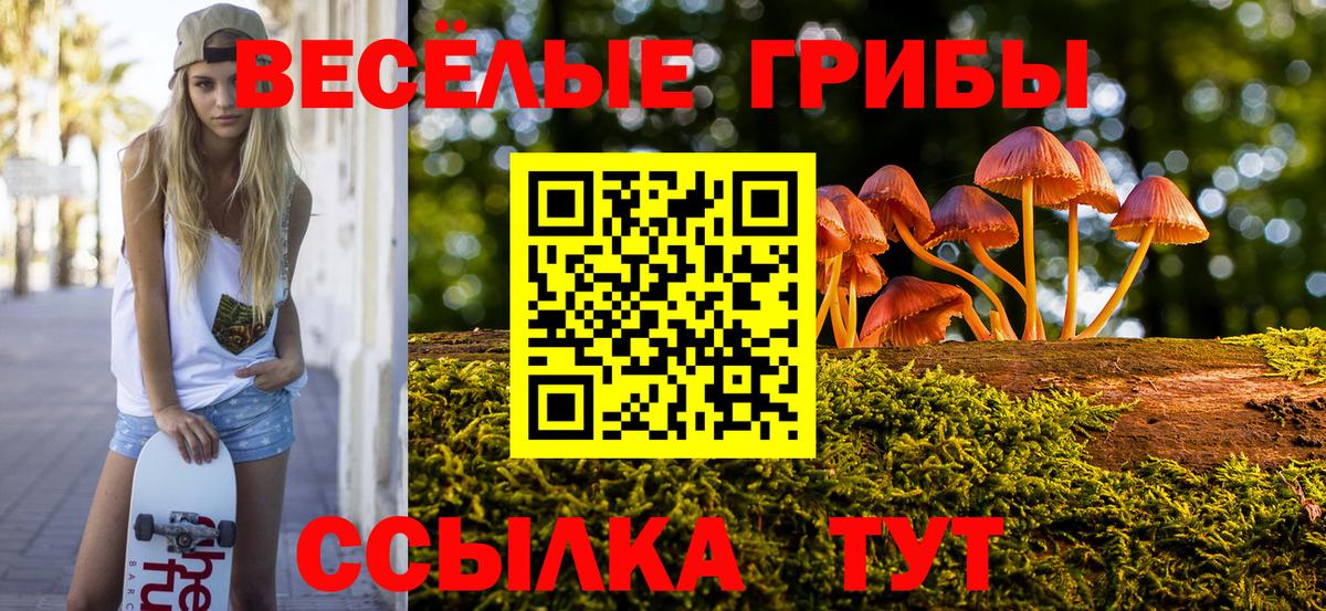 Галлюциногенные грибы MAGIC MUSHROOMS  Псилоцибиновые грибы Psilocybine cubensis  Ишим  Вход с VPN 